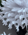 gwiazda 45 cm2.png
