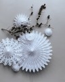gwiazda 30 cm5.jpg