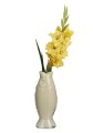 wazon fish cream4.jpg