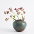 wazon aqua-brown10.jpg